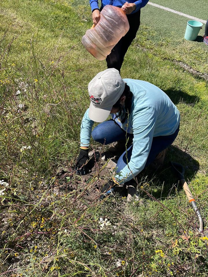 1694456631 677 REFORESTACION EN EL CAMPO LA PRESA DE COYOTILLOS