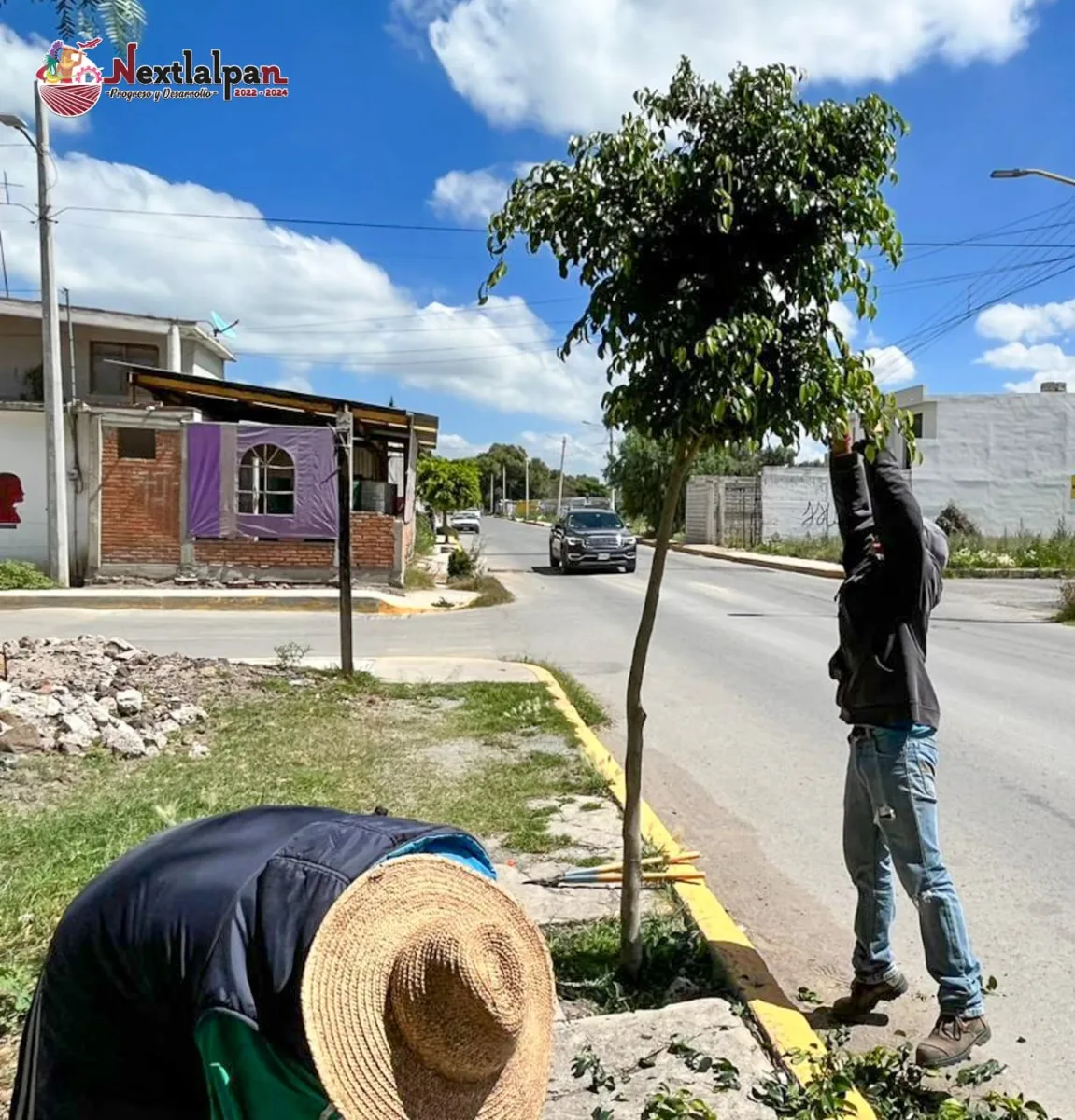 1694459057 361 ¡Noticias verdes