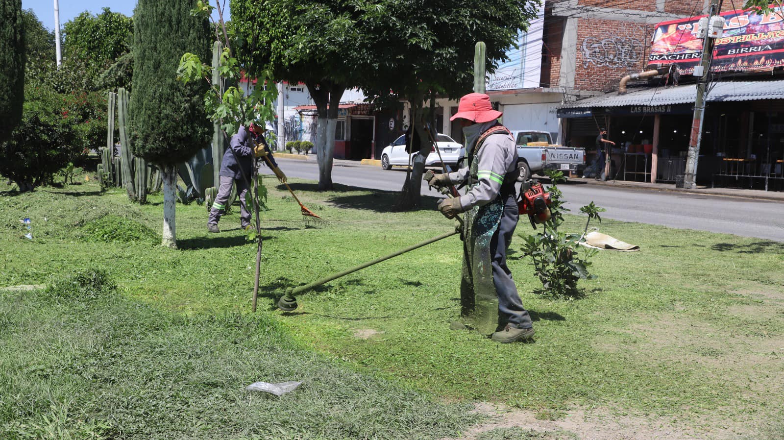 1694463233 Continuamos con los trabajos de embellecimiento poda y barrido de