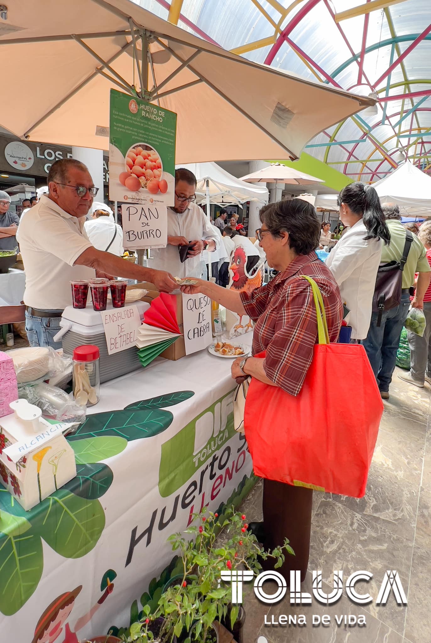 1694467970 298 ¡Ya te estamos esperando en el HuertoSustentable del DIF Toluca