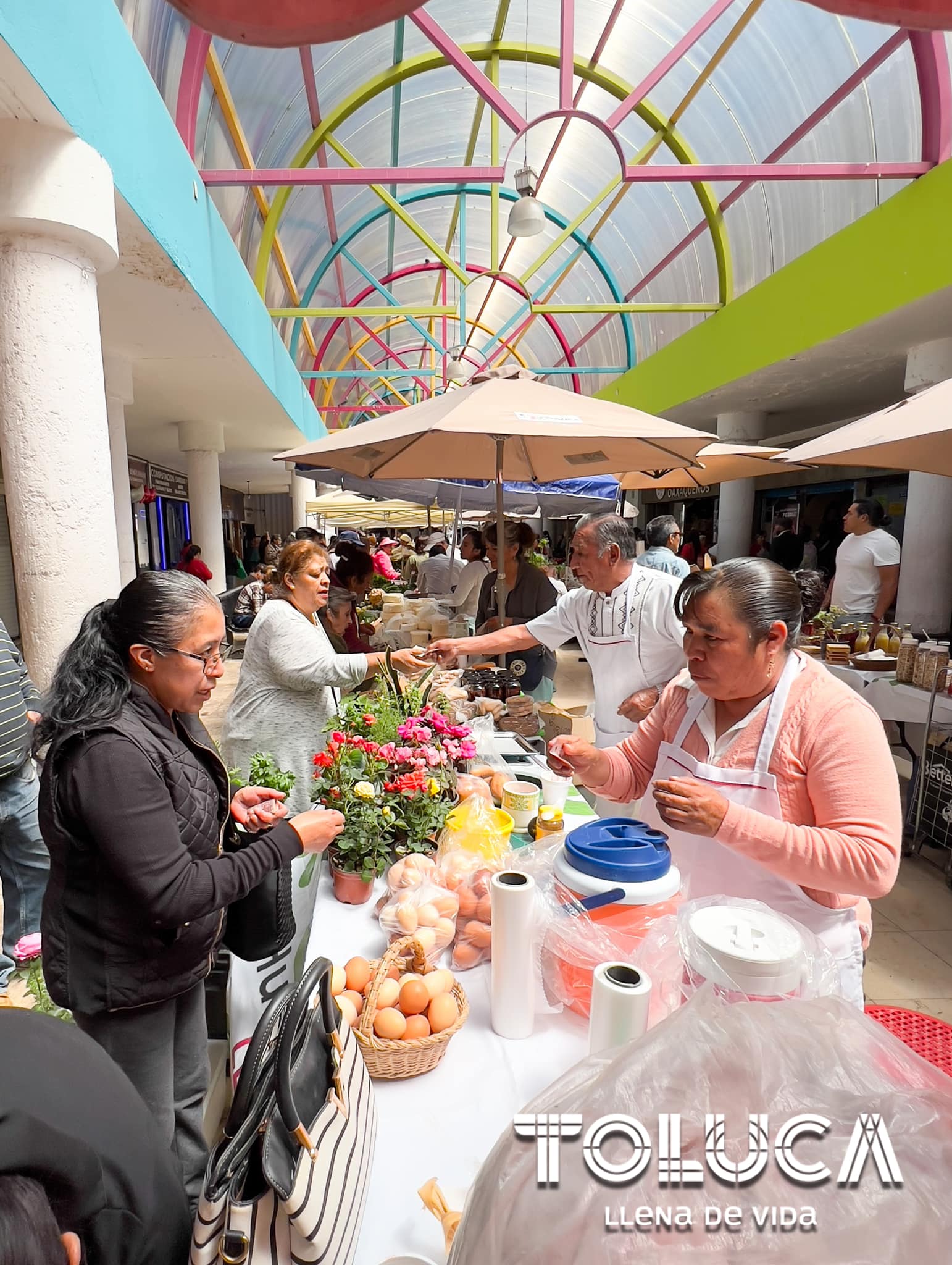 1694467979 666 ¡Ya te estamos esperando en el HuertoSustentable del DIF Toluca