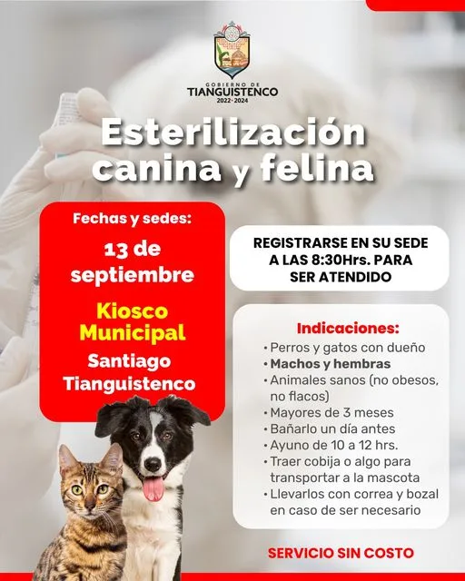 1694522663 Cuidemos de nuestros lomitos asiste a Las jornadas de esterilizacion jpg