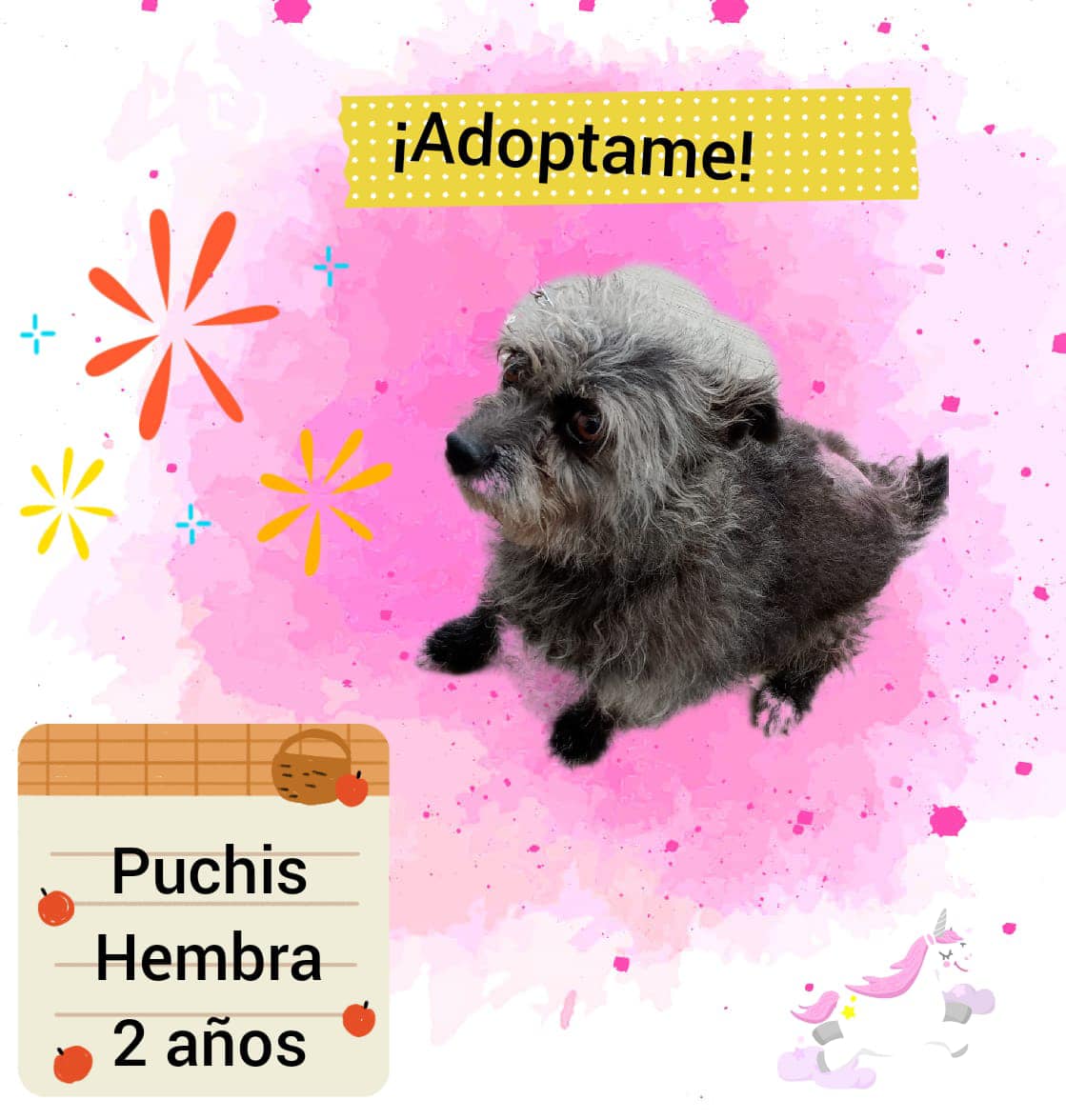 1694549431 479 No compres adopta