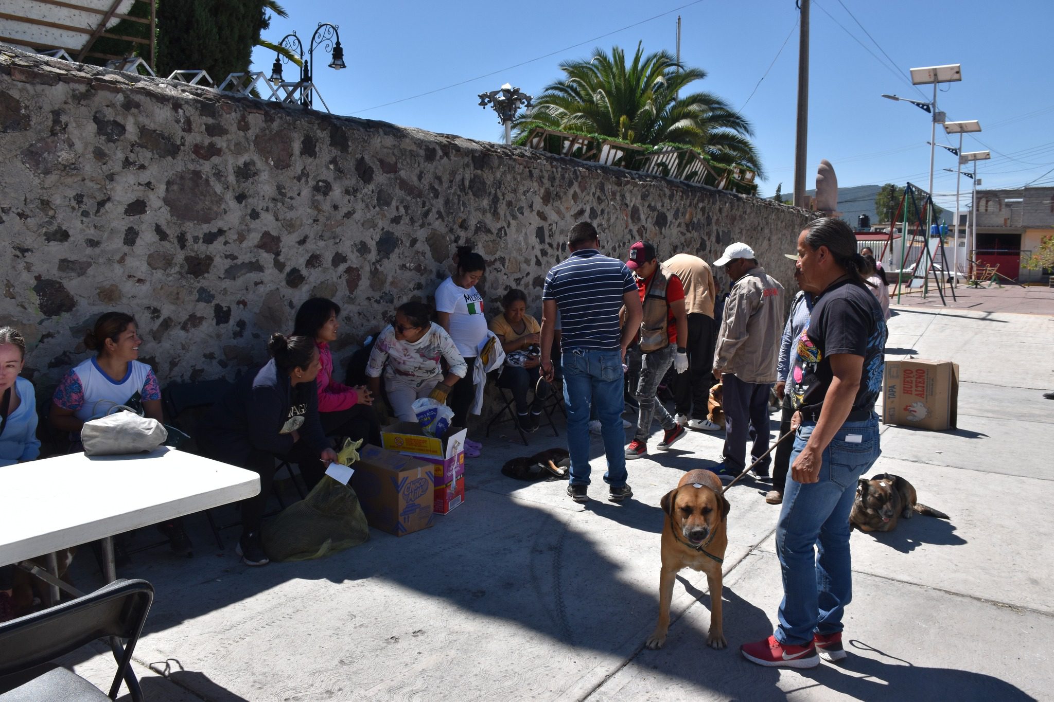 1694561977 898 Esta tarde finalizo la Jornada de Esterilizacion Gratuita en Santa