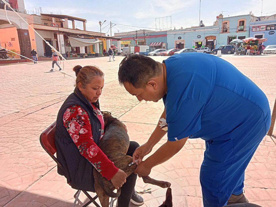 1694562591 416 Dias atras la Direccion de Salud de Otumba llevo a