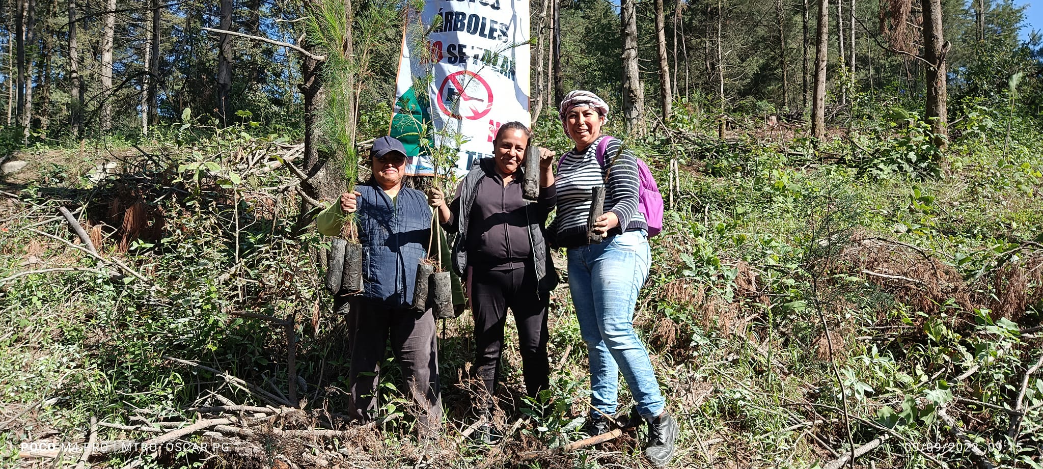 1694633051 920 EL GOBIERNO MUNICIPAL DE ATLAUTLA ESTA COMPROMETIDO CON LA NATURALEZA