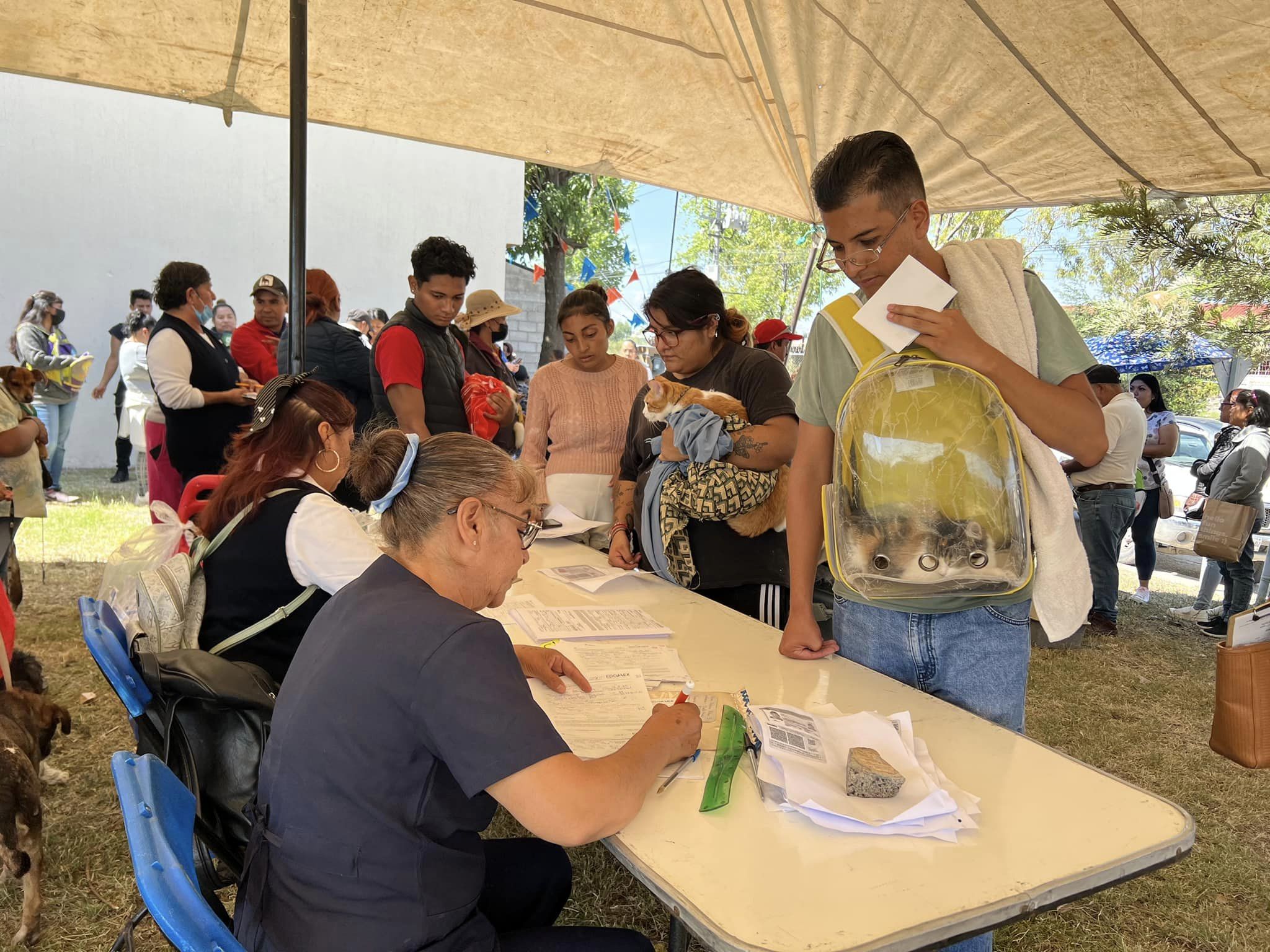 1694635847 80 Jornada de esterilizacion y vacunacion canina y felina en