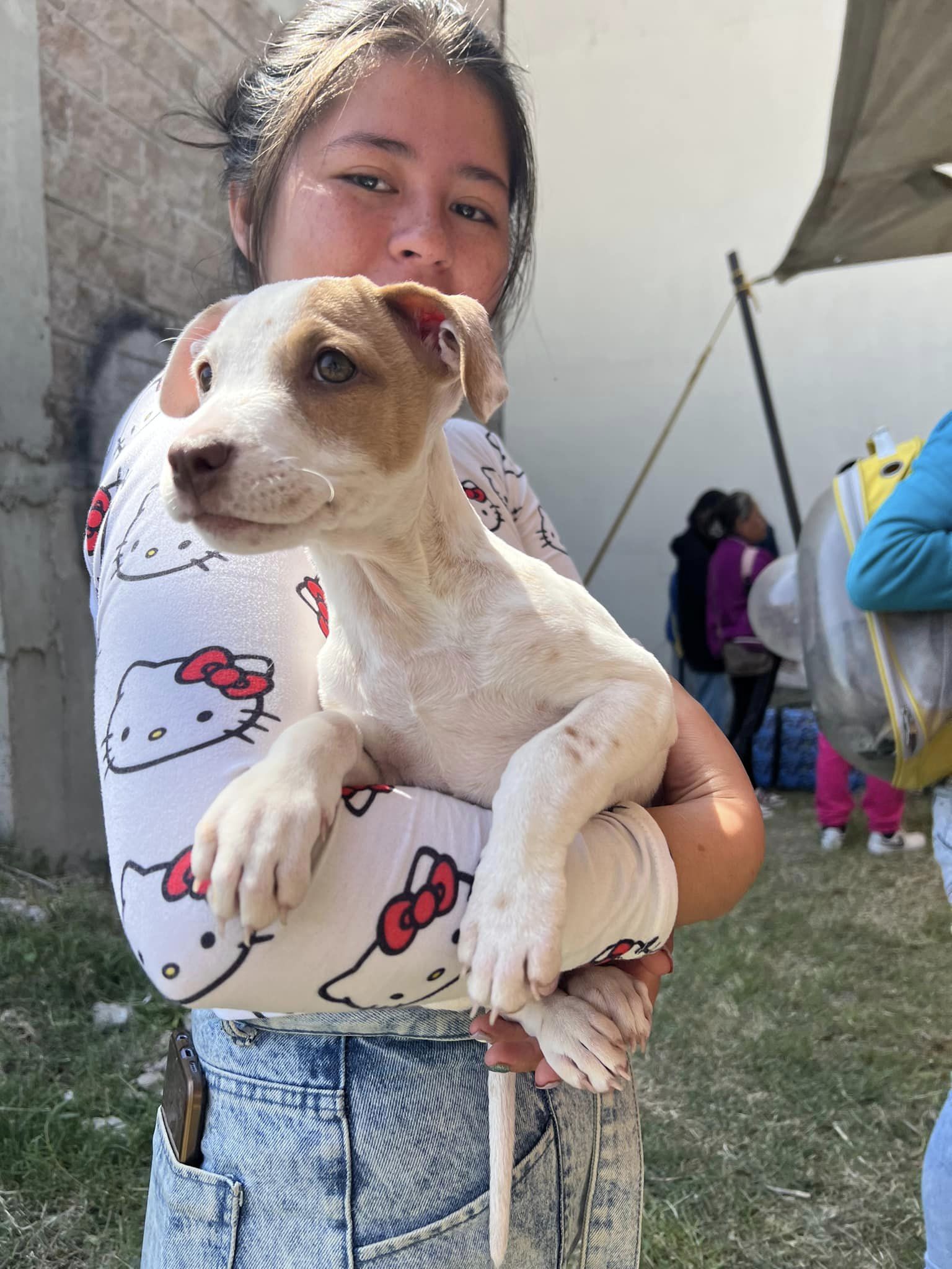 1694635857 52 Jornada de esterilizacion y vacunacion canina y felina en