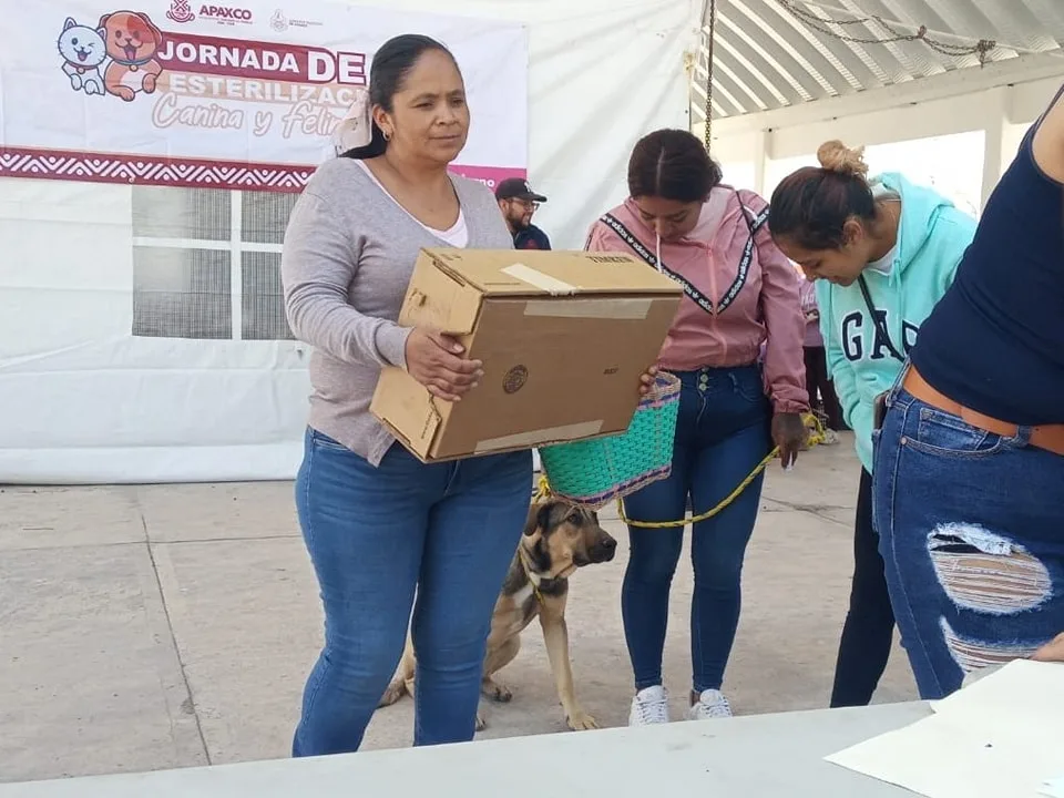 1694636957 ESTERILIZAMOS A 60 MASCOTAS EN COLONIA JUAREZ jpg