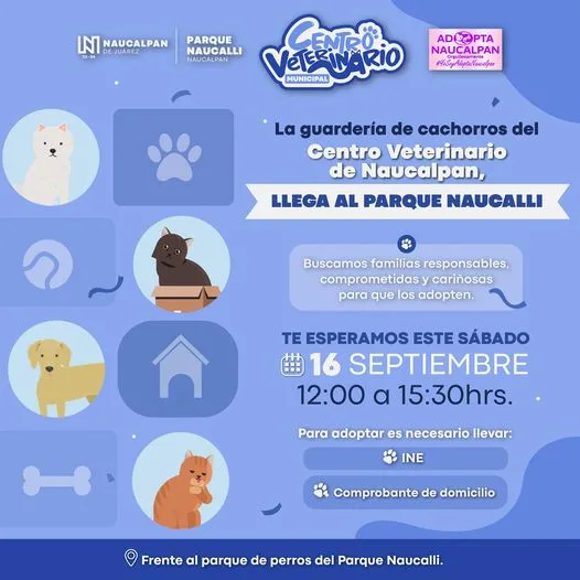 1694646612 Este sabado 16 de septiembre la guarderia de cachorros del jpg