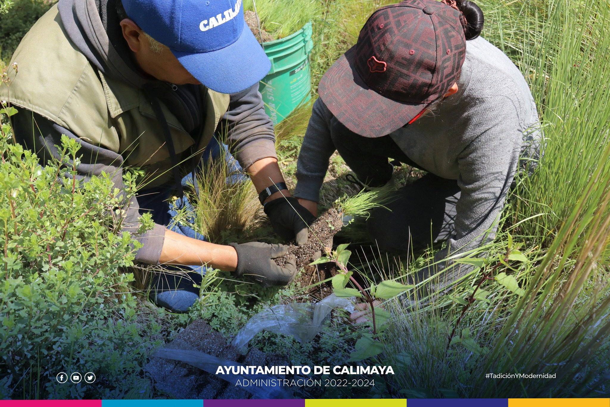 1694693991 419 El dia de hoy llevamos a cabo una reforestacion en