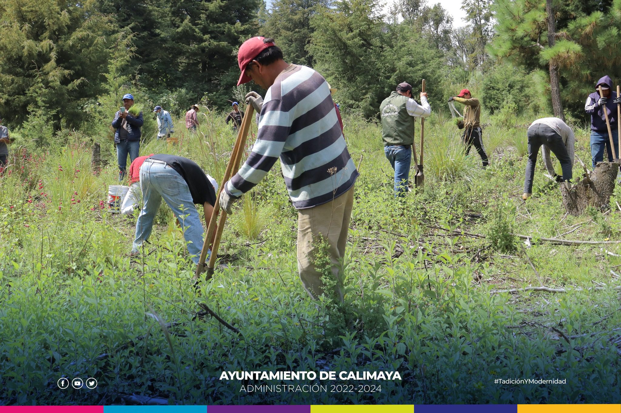 1694693995 158 El dia de hoy llevamos a cabo una reforestacion en