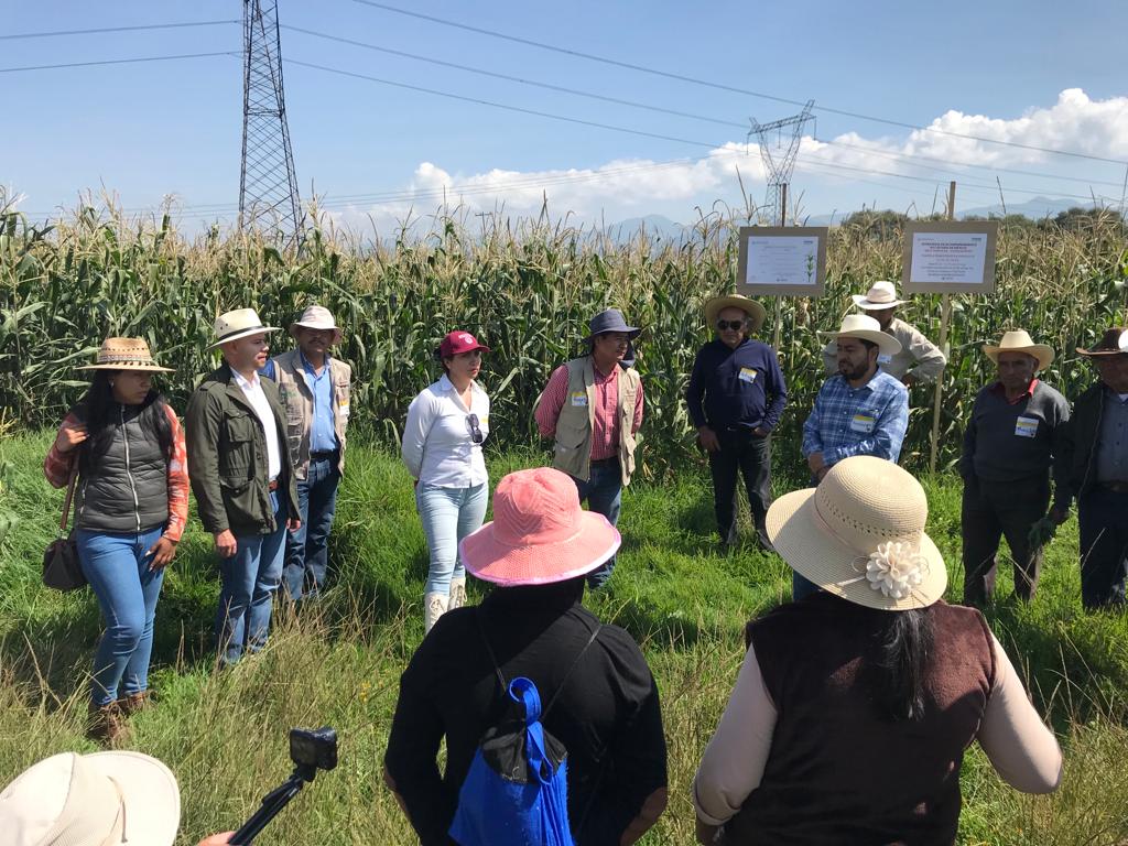 1694696562 40 Otzolotepec participa y recibe reconocimientos en recorrido de acompanamiento te