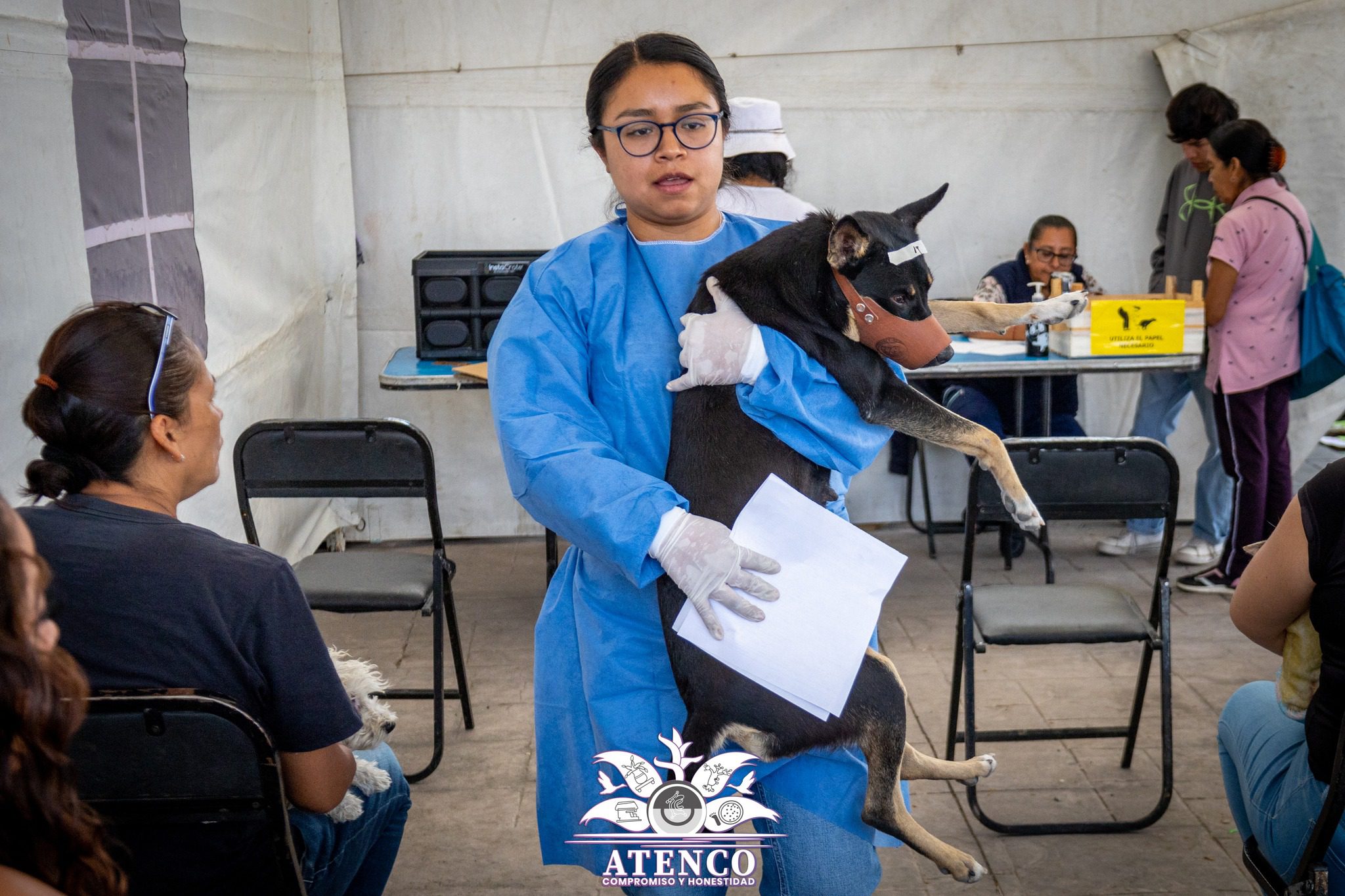 1694701544 146 NOVENA JORNADA DE ESTERILIZACION CANINA Y FELINA 2023 A traves