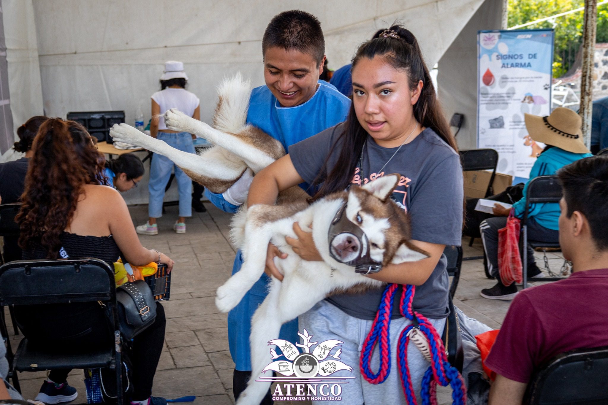 1694701552 395 NOVENA JORNADA DE ESTERILIZACION CANINA Y FELINA 2023 A traves