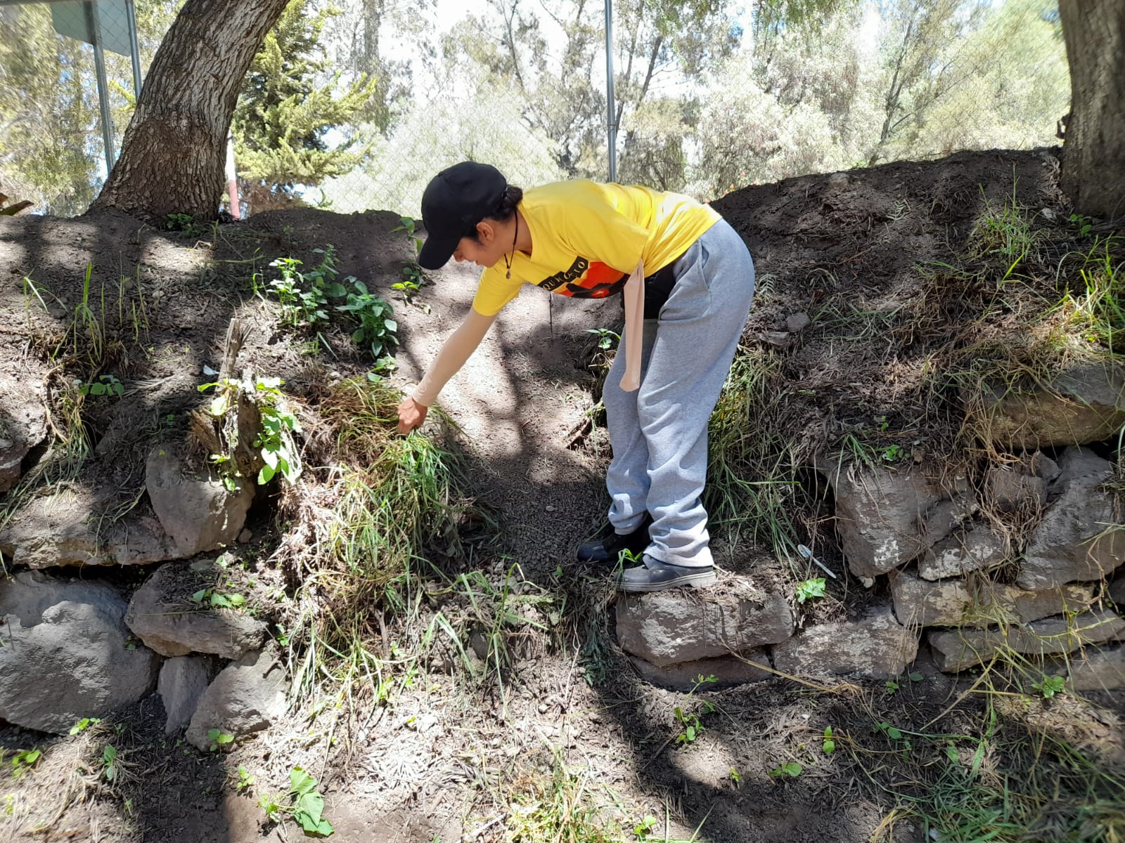 1694705782 263 El Ayuntamiento de Texcoco realiza el mantenimiento de areas verdes