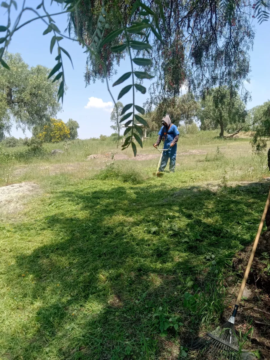 1694705791 898 El Ayuntamiento de Texcoco realiza el mantenimiento de areas verdes