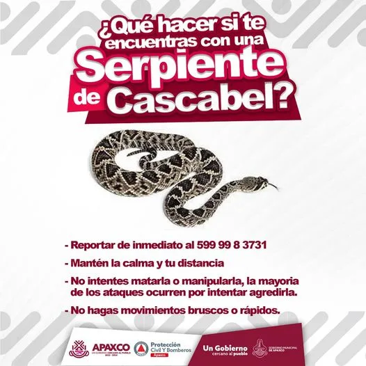 1694795299 CUIDEMOS DE LA FAUNA DE NUESTRO PUEBLO jpg