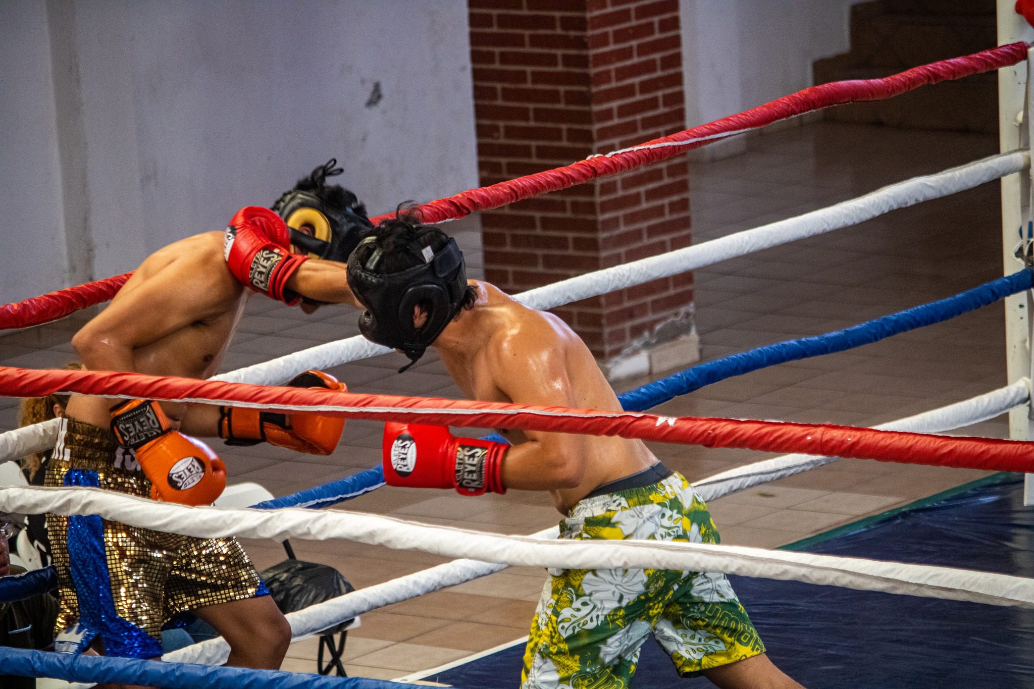 1695040337 610 ¡Asi se vivieron las peleas de BoxAmateur en el Auditorio