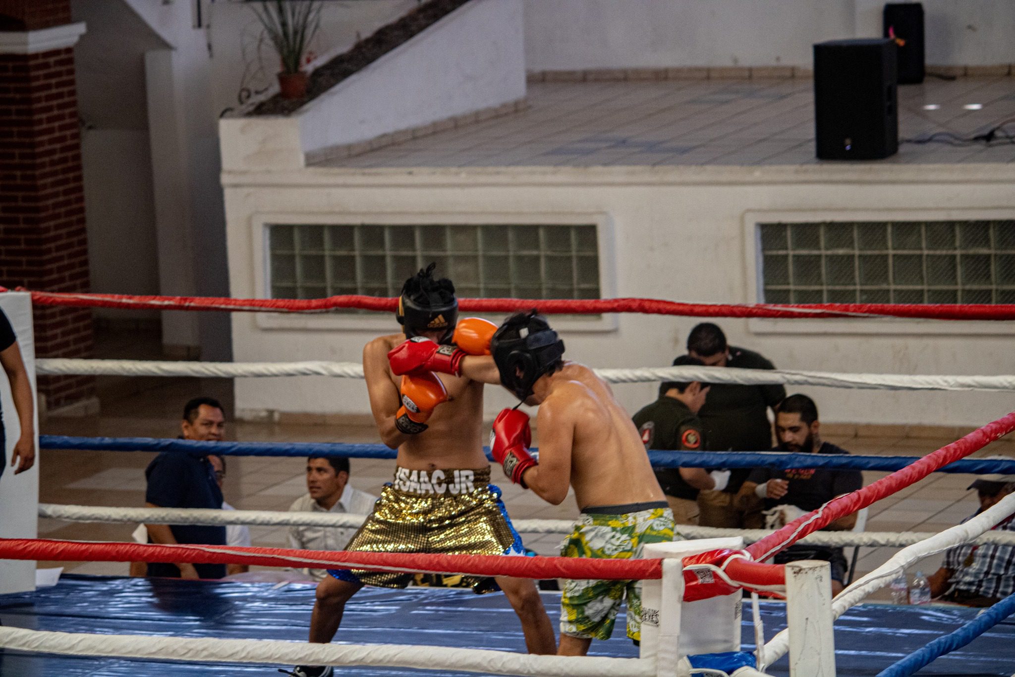 1695040347 913 ¡Asi se vivieron las peleas de BoxAmateur en el Auditorio