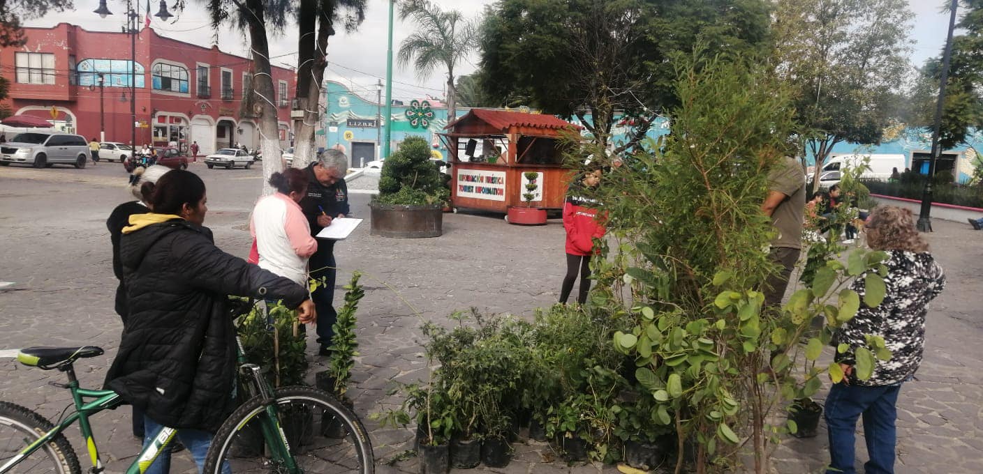 1695080579 228 Exitosa entrega de arboles frutales a bajo costo en la