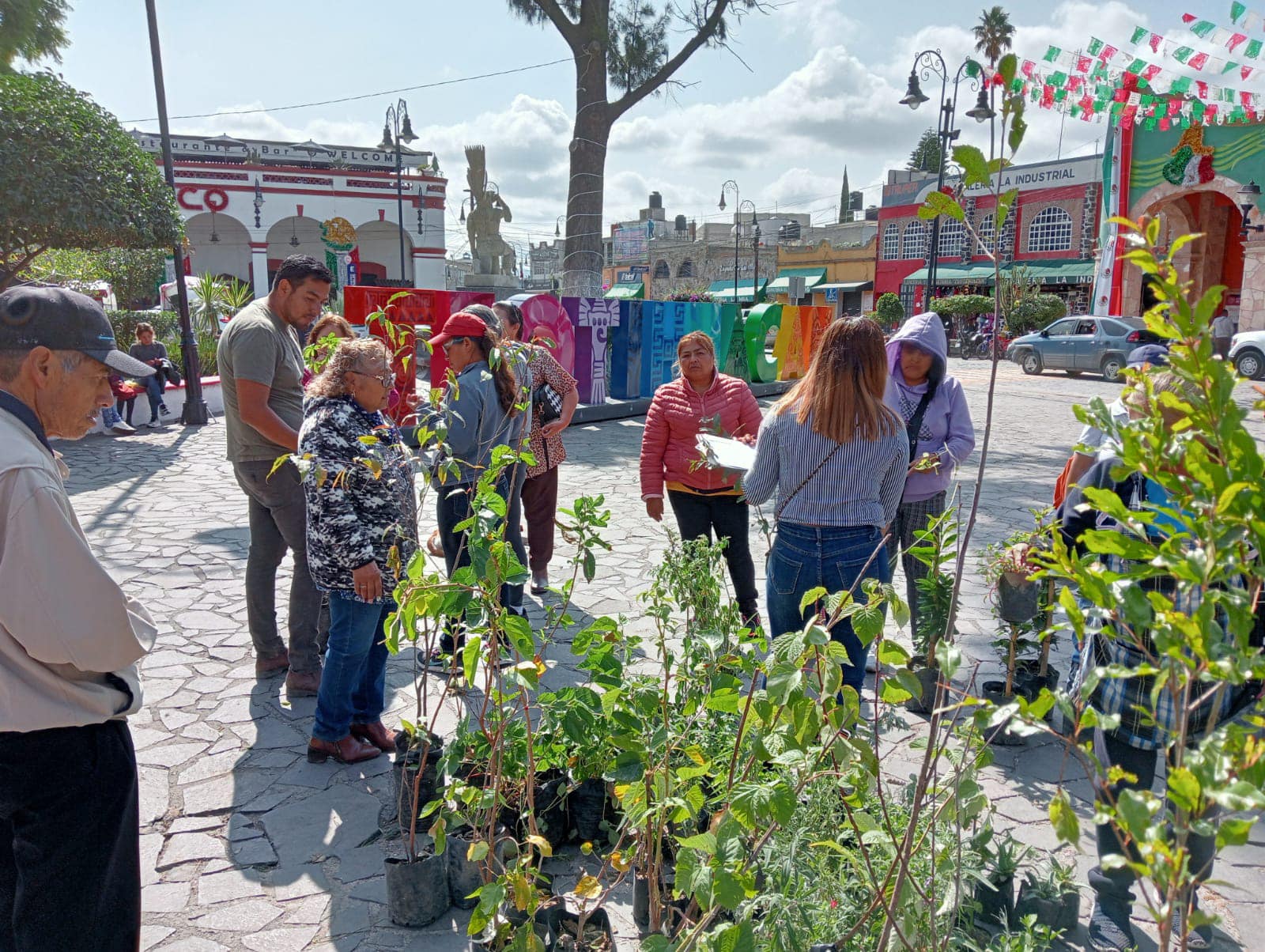 1695080615 Exitosa entrega de arboles frutales a bajo costo en la