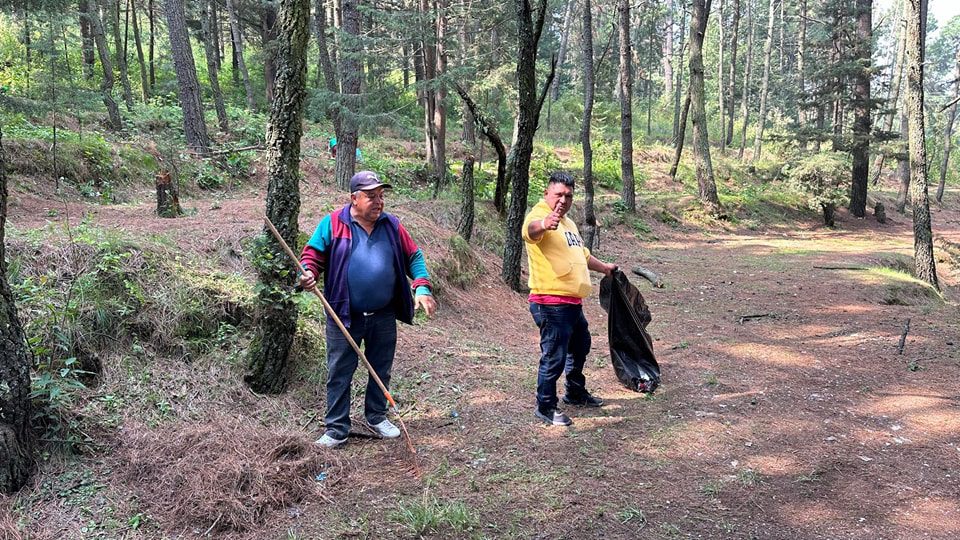 1695080714 357 Nuestra cuadrilla de Parques y Jardines realizo una exhaustiva jornada