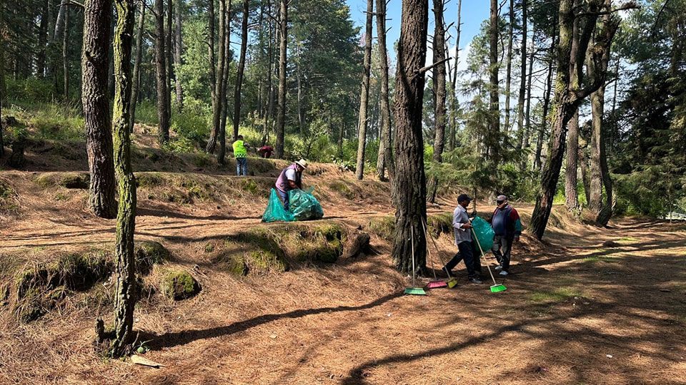 1695080720 549 Nuestra cuadrilla de Parques y Jardines realizo una exhaustiva jornada