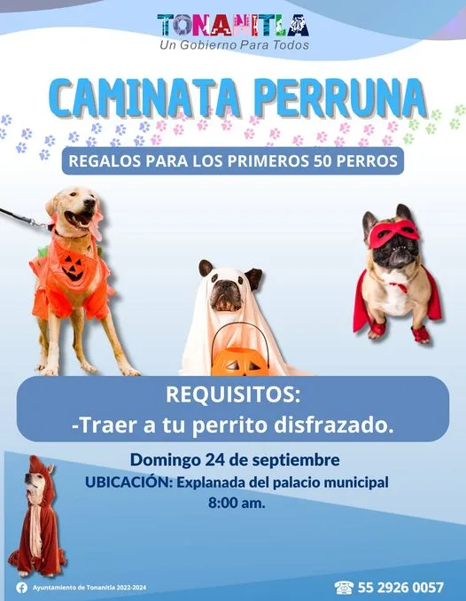 1695149581 Ven a esta caminata perruna a la cual el ayuntamiento jpg