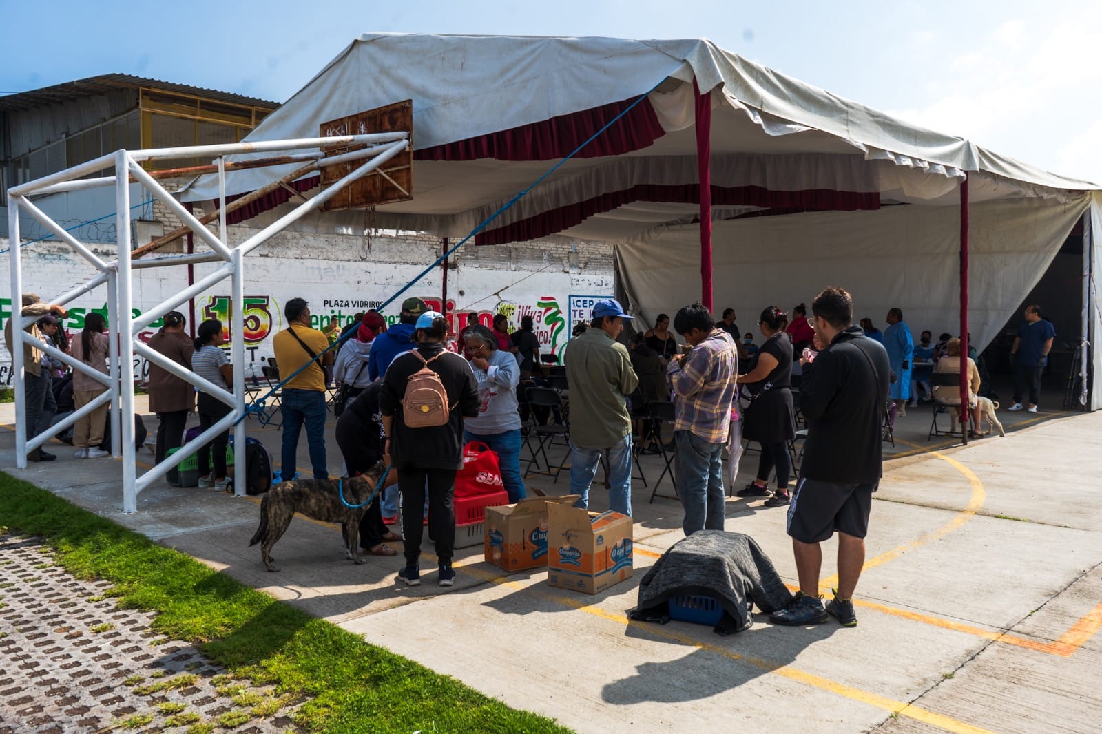 1695154680 214 CHIMALHUACAN Y EDOMEX CONVOCAN A MEGAJORNADA DE ESTERILIZACION DE PERROS