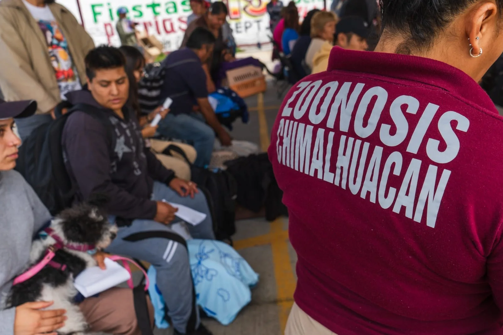 1695154707 CHIMALHUACAN Y EDOMEX CONVOCAN A MEGAJORNADA DE ESTERILIZACION DE PERROS jpg