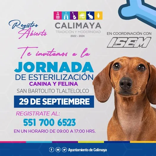 1695155256 IMPORTANTE EL REGISTRO ES PARA UNA MASCOTA jpg