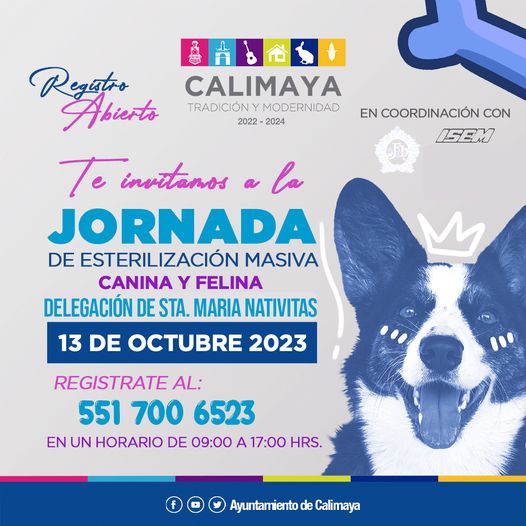 1695212828 609 IMPORTANTE EL REGISTRO ES PARA UNA MASCOTA