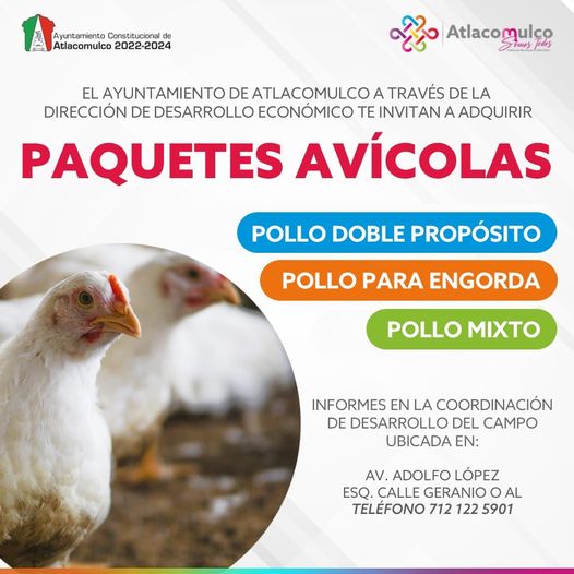 1695249361 889 ¡Te invitamos a adquirir Paquetes Avicolas a bajo costo Consulta