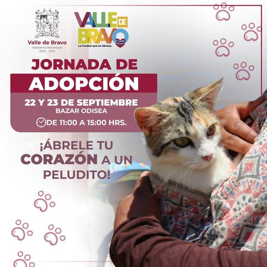 1695333156 232 ¡Las y los invitamos a nuestra Jornada de Adopcion Canina