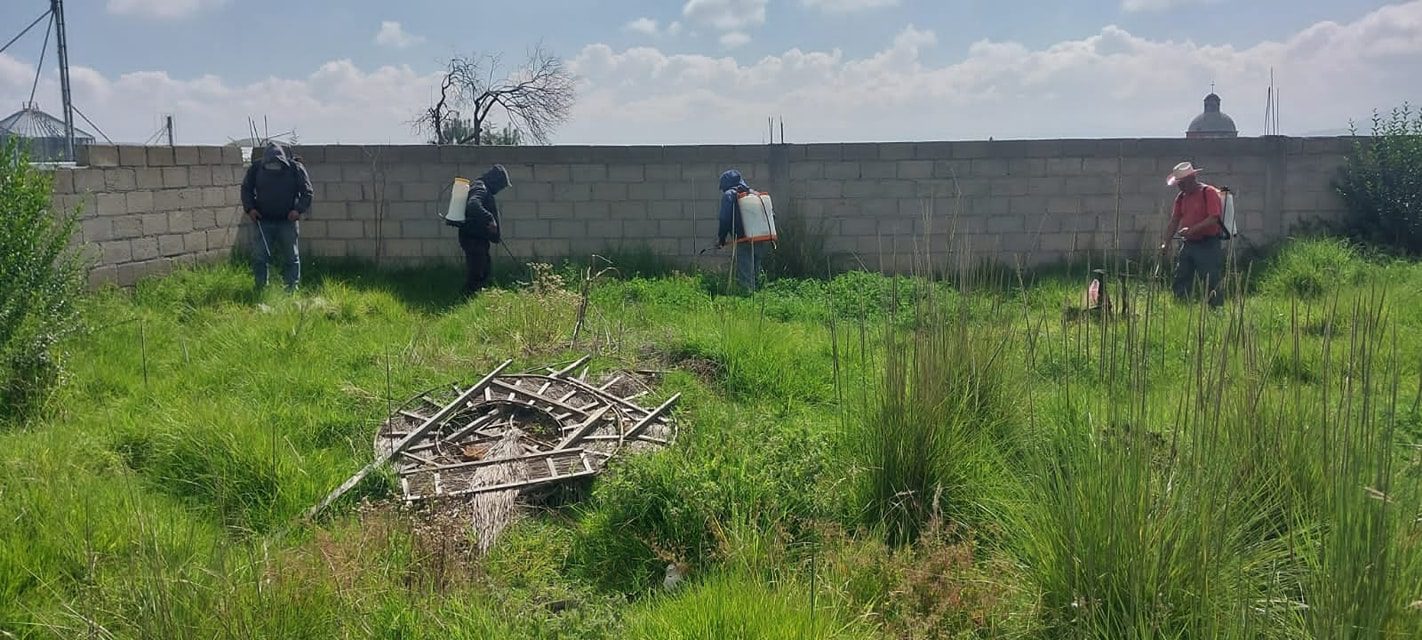 1695384272 449 Hoy llevamos a cabo la poda de pasto y limpieza