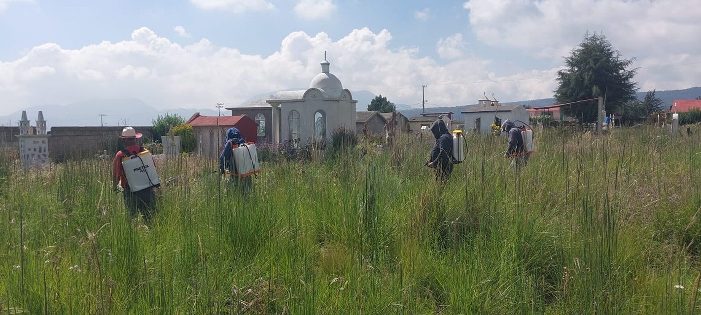 1695384283 688 Hoy llevamos a cabo la poda de pasto y limpieza