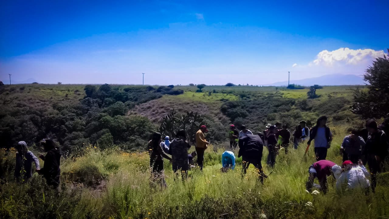 1695398258 236 La Direccion de Ecologia y Medio Ambiente llevo a cabo