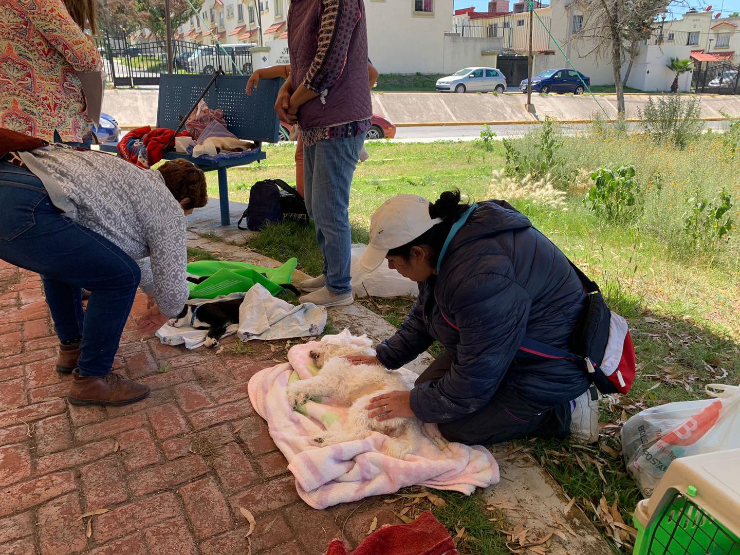 1695414940 387 Jornada de esterilizacion canina y felina Asi se vivio