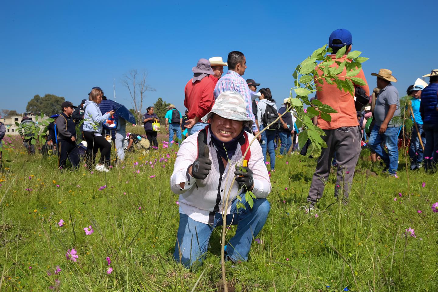 1695420052 335 ¡Quien planta un arbol nos regala un mundo mejor