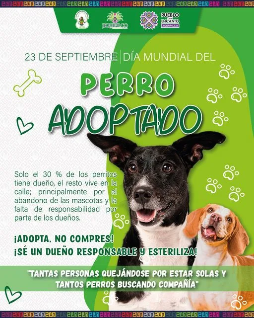 1695471966 23 de septiembre dia del perro adoptado jpg