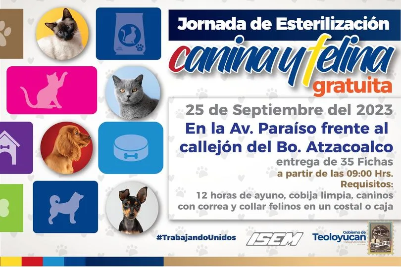 1695478062 Esterilizacion Canina y Felina jpg