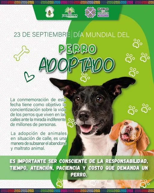 1695479196 23 de septiembre dia del perro adoptado jpg