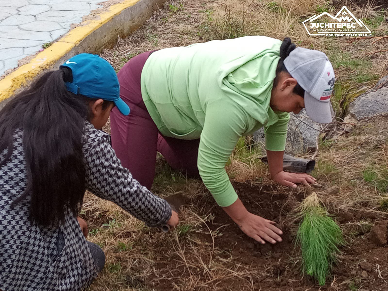 1695573482 570 Reforestacion ¡Creciendo juntos mas verdes y saludables El Gobierno