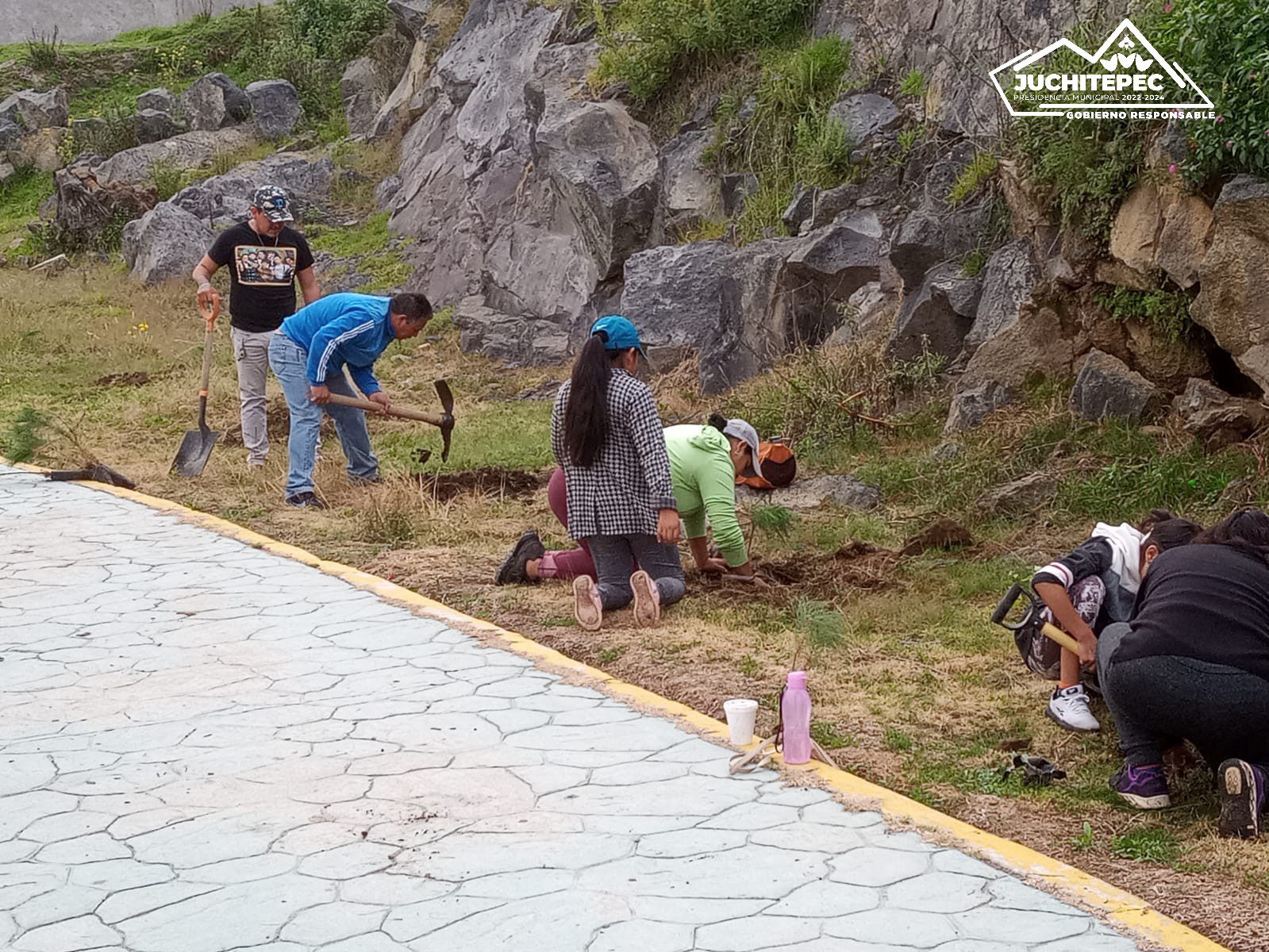 1695573490 221 Reforestacion ¡Creciendo juntos mas verdes y saludables El Gobierno