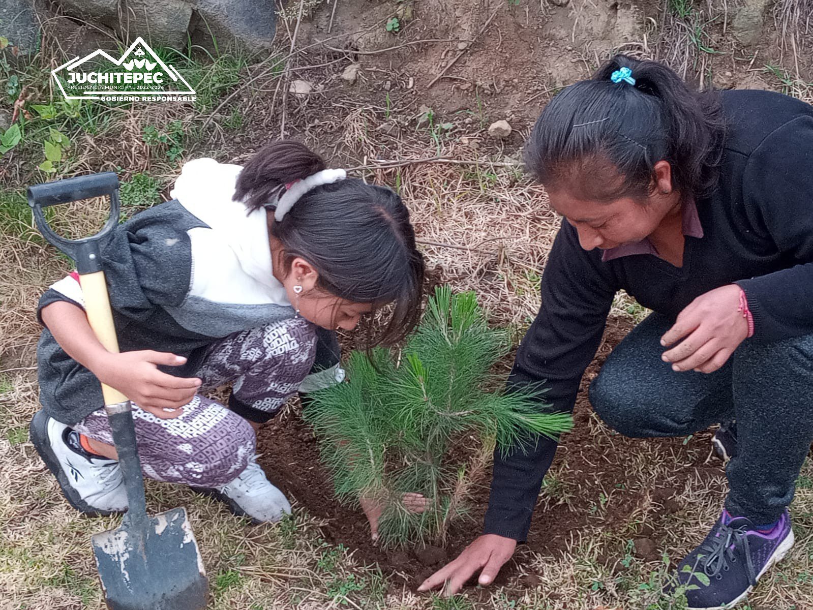 1695573497 507 Reforestacion ¡Creciendo juntos mas verdes y saludables El Gobierno