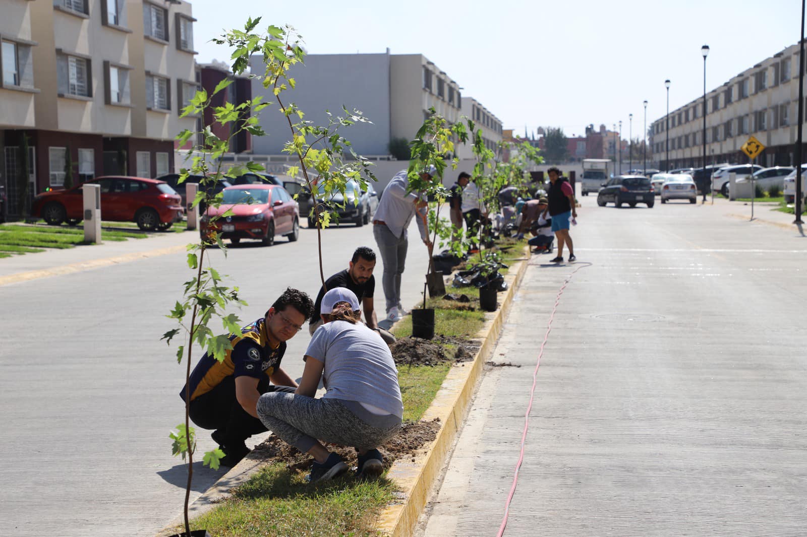 1695598755 664 Sembrar un arbol es sembrar vida