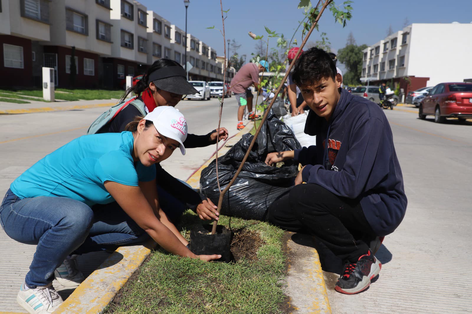 1695598759 817 Sembrar un arbol es sembrar vida