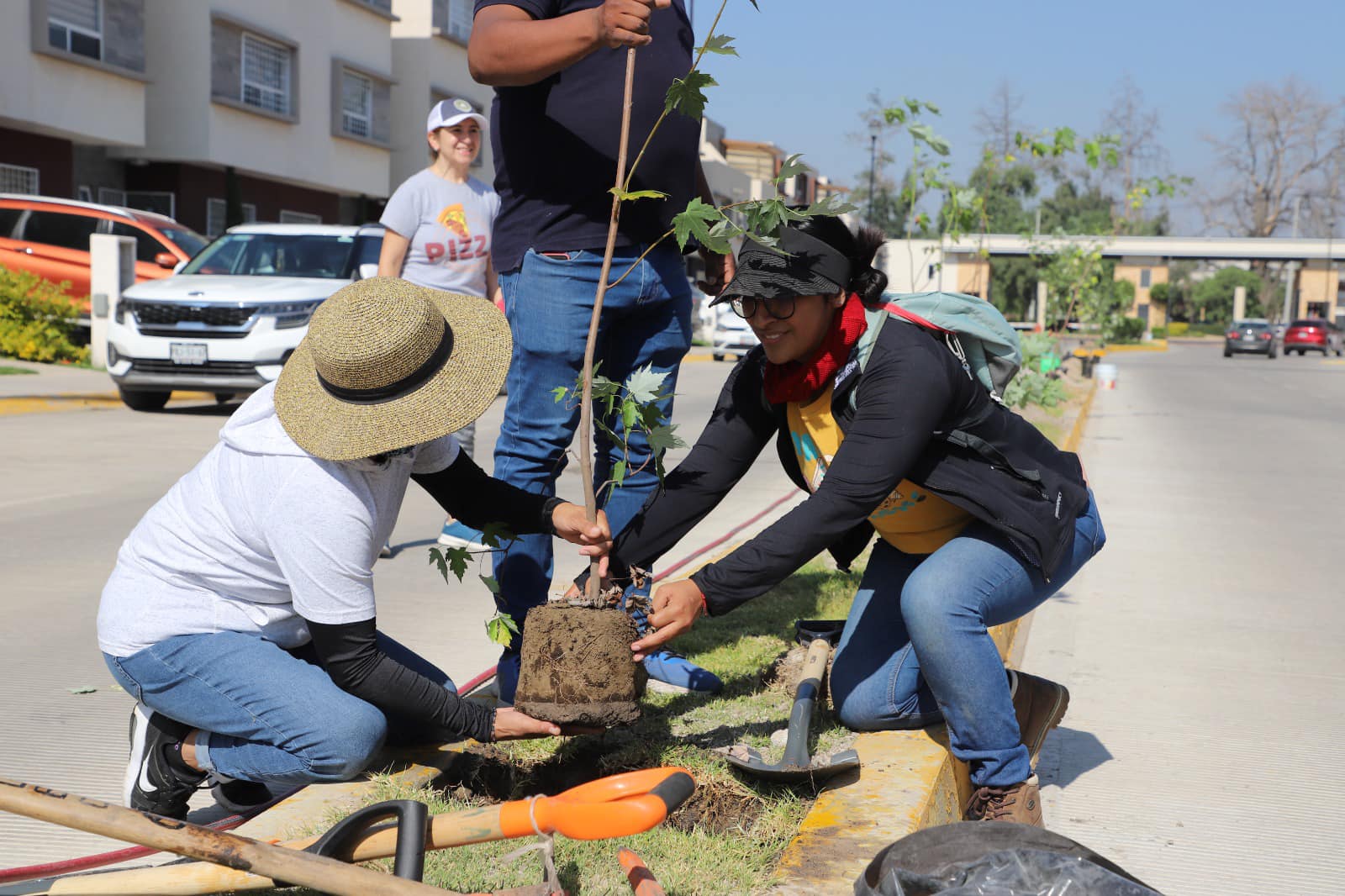 1695598787 Sembrar un arbol es sembrar vida