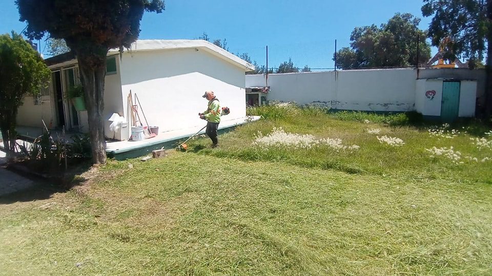 1695748132 594 Realizamos limpieza arreglos en jardineria poda de pasto hierba y